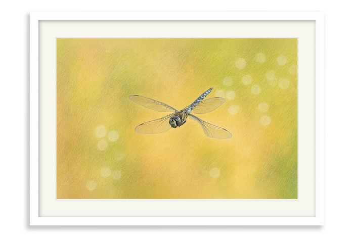 White Frame A3 - 29 x 42 cm (+£145.00)